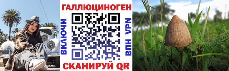 shop как зайти  Ялуторовск  Псилоцибиновые грибы мицелий  мега онион 